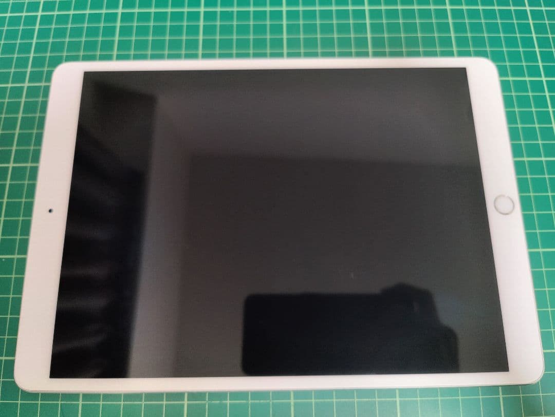 【Shin様】Apple iPad Pro 64GB シルバー WiFiモデル