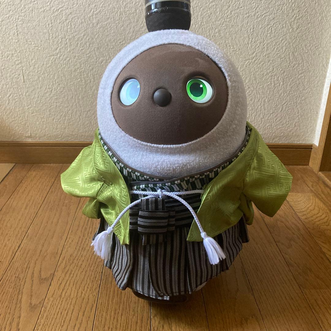 ラボット　服　lovot きみどり　紗綾形　羽織　袴　インナー緑　矢絣