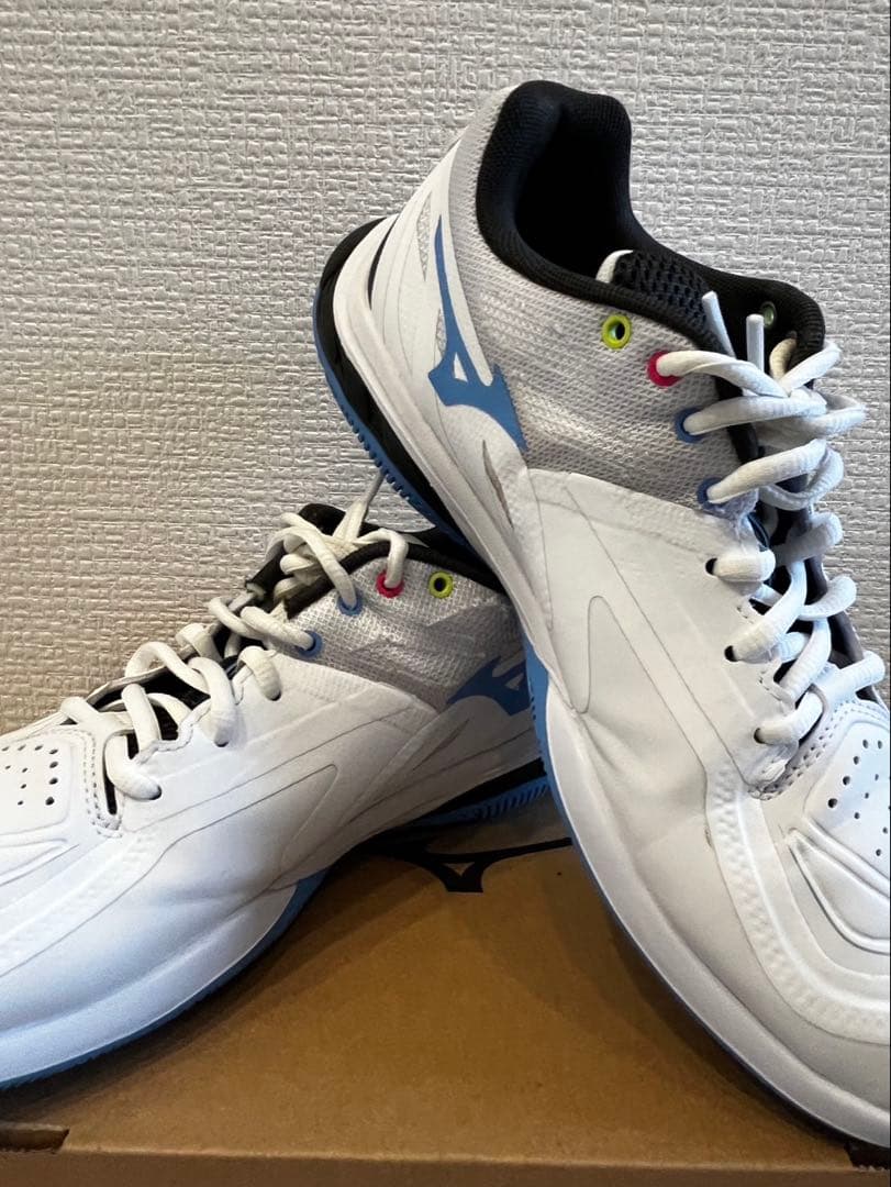 はちろー！ ミズノ　ウェーブファング