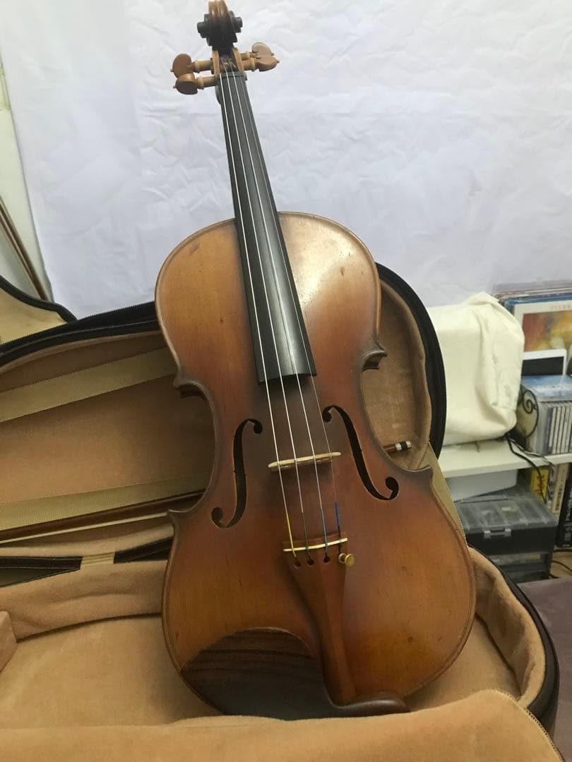 弦楽器 MASAKICCHI SUZUKI NO.5