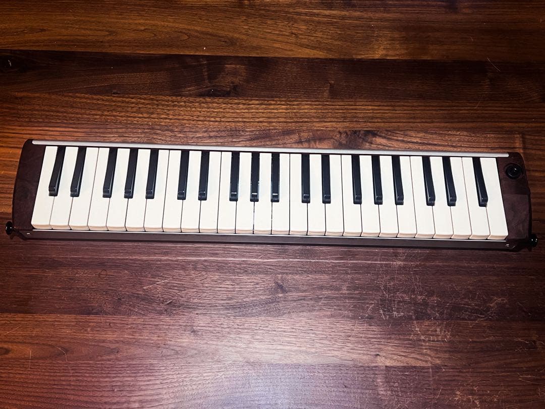 Hammond PRO-44H エレアコ鍵盤ハーモニカ 希少コラボモデル