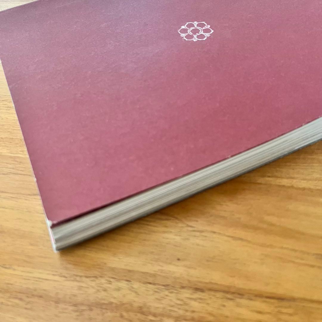 MYSORE STYLE　写真集　アシュタンガヨガ　AshtangaYoga