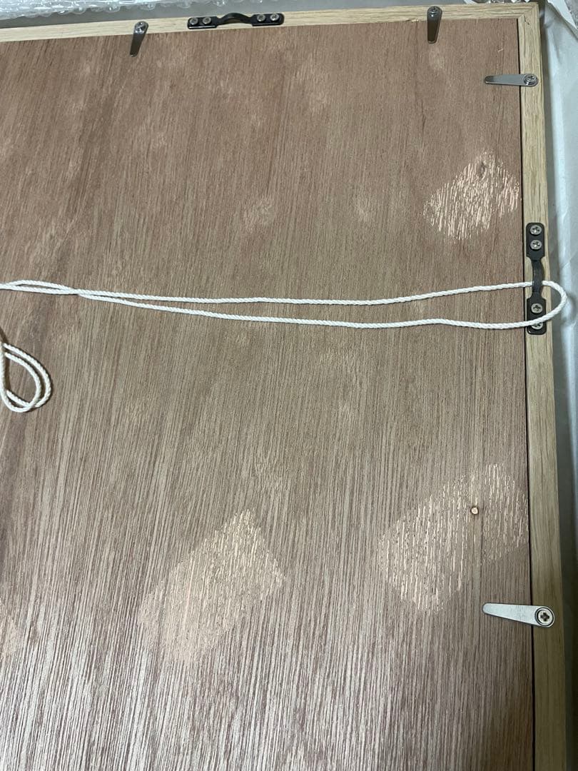 限定50枚　山口一郎 / ジクレー印刷/ネコ」 / Mサイズ / アートポスター