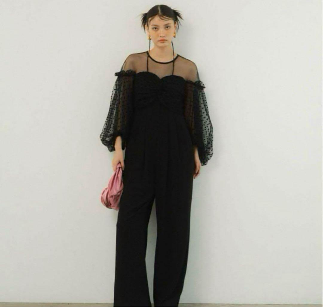 ANDRESD アンドレスド flocky dot pants dress