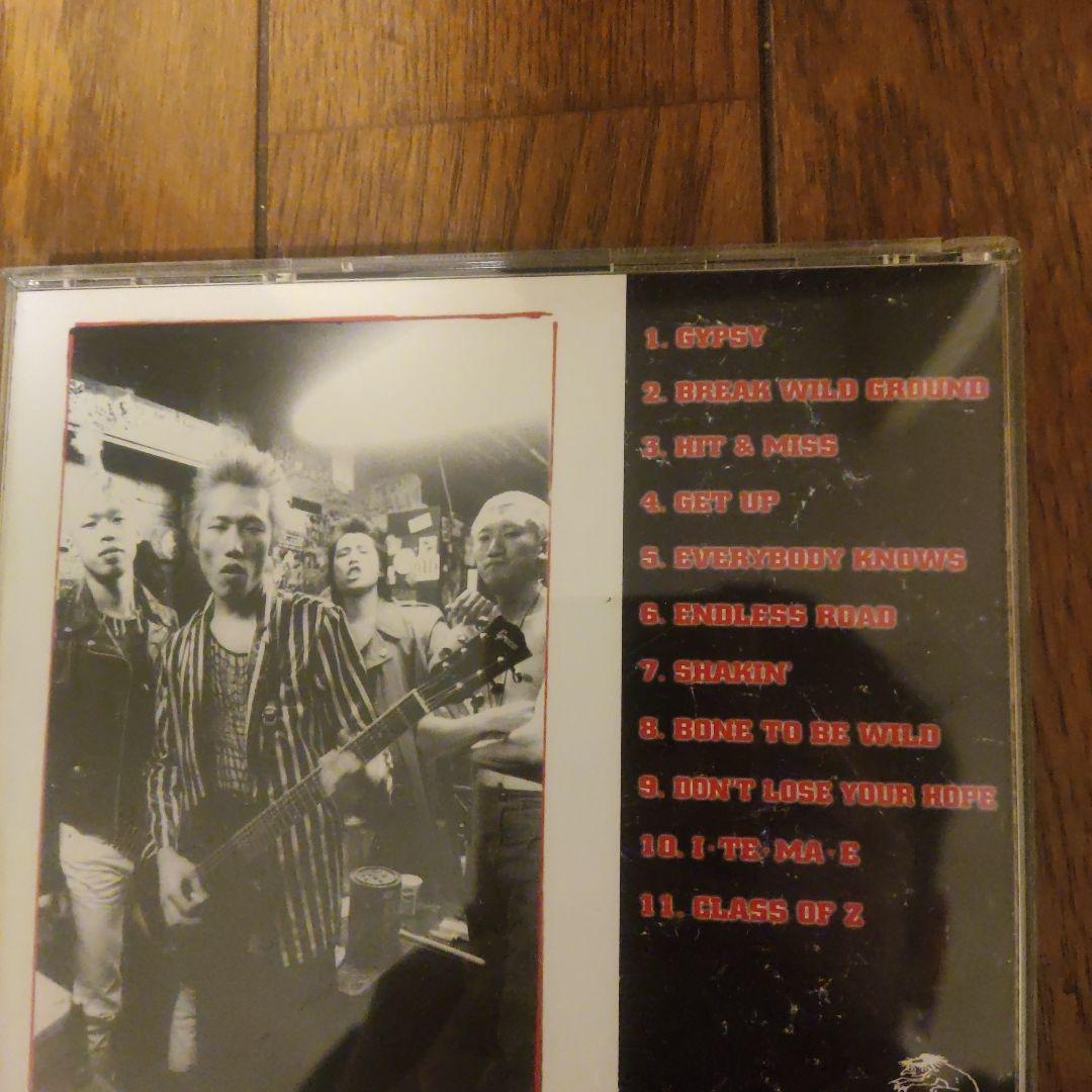 THE　ZETT ENDLESS ROAD CD　超貴重