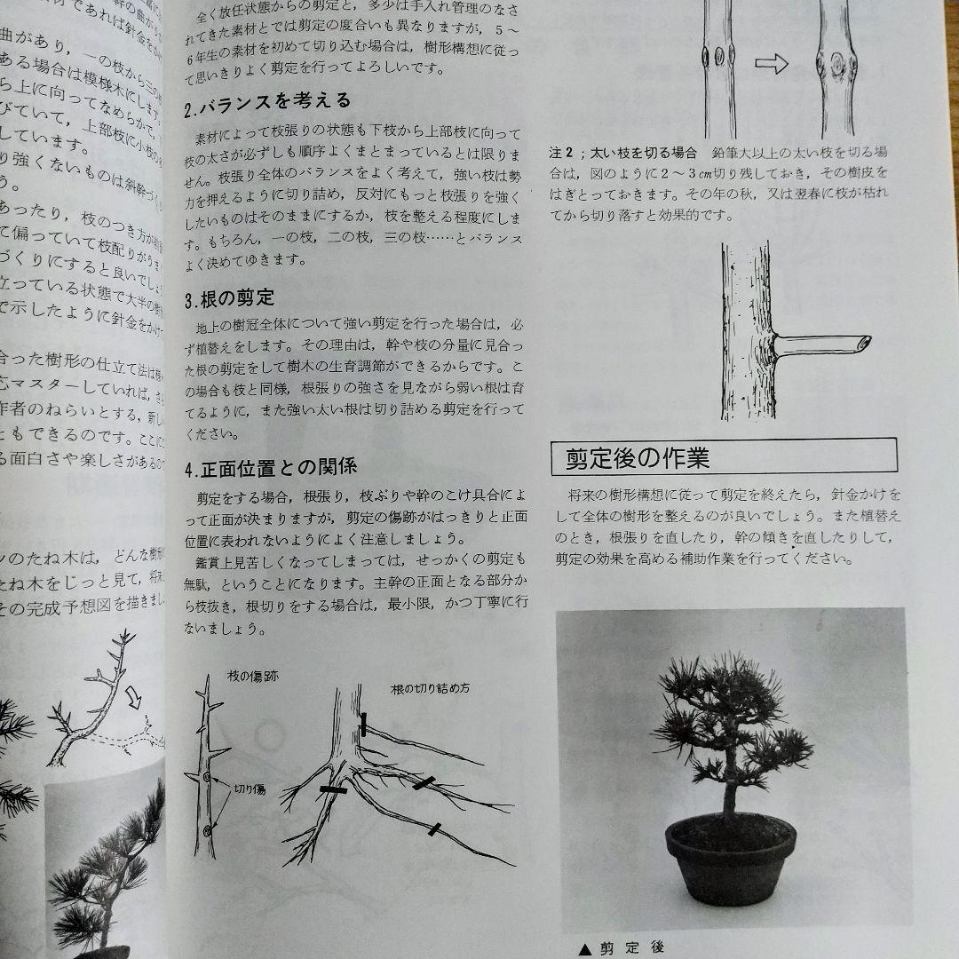 【独学に】盆栽技能講座 テキスト4冊｜基礎からしっかり学習