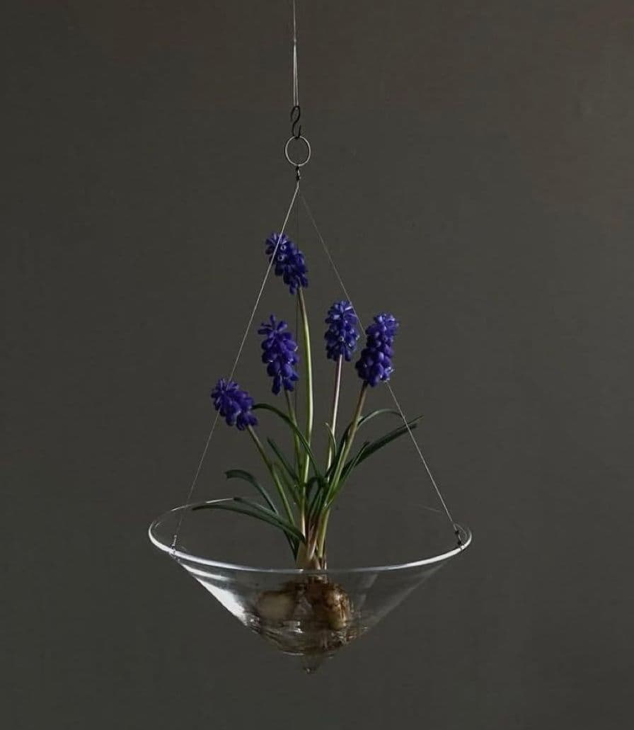 津村里佳　ニワタヅミ