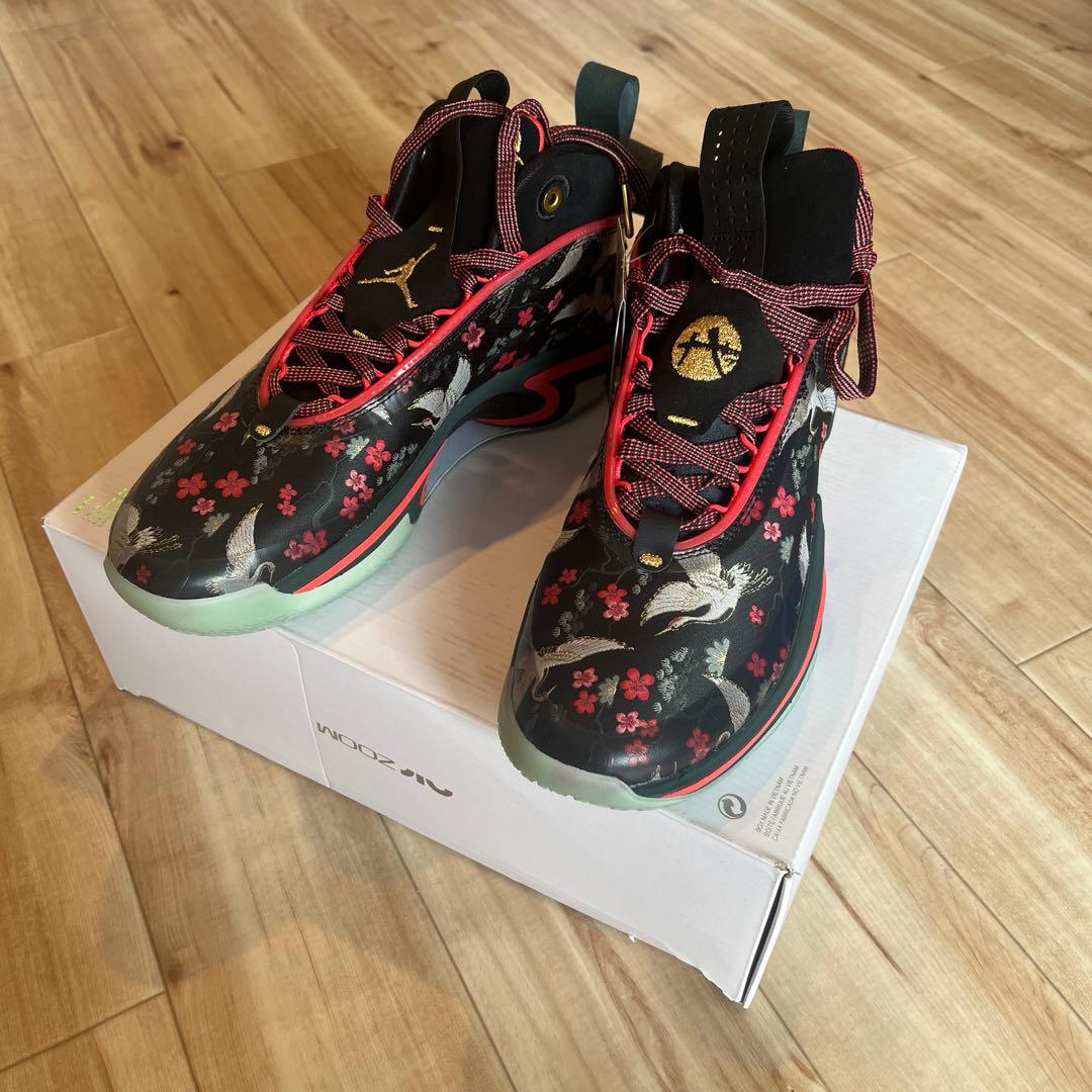 新品未使用NIKEエアジョーダンXXXVI RUI PF