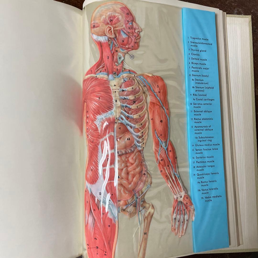 洋書 The World Book Encyclopedia 1967