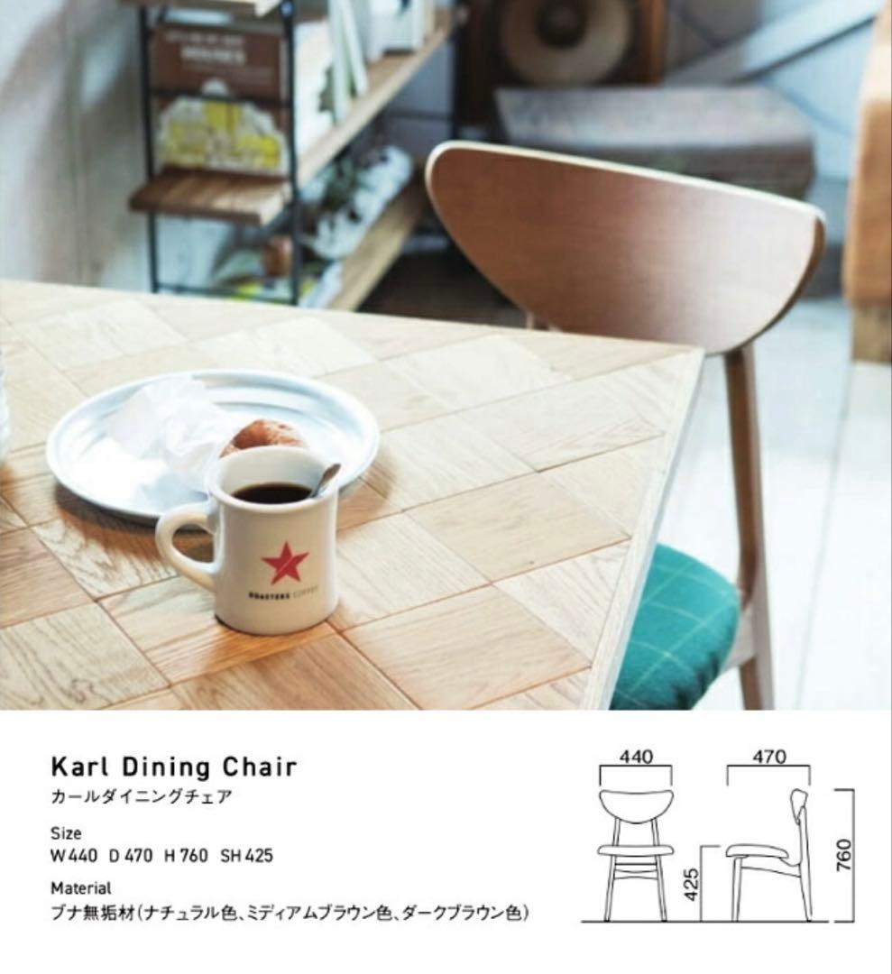 モダンダイニングチェア2脚セット　Karl Dining Chair