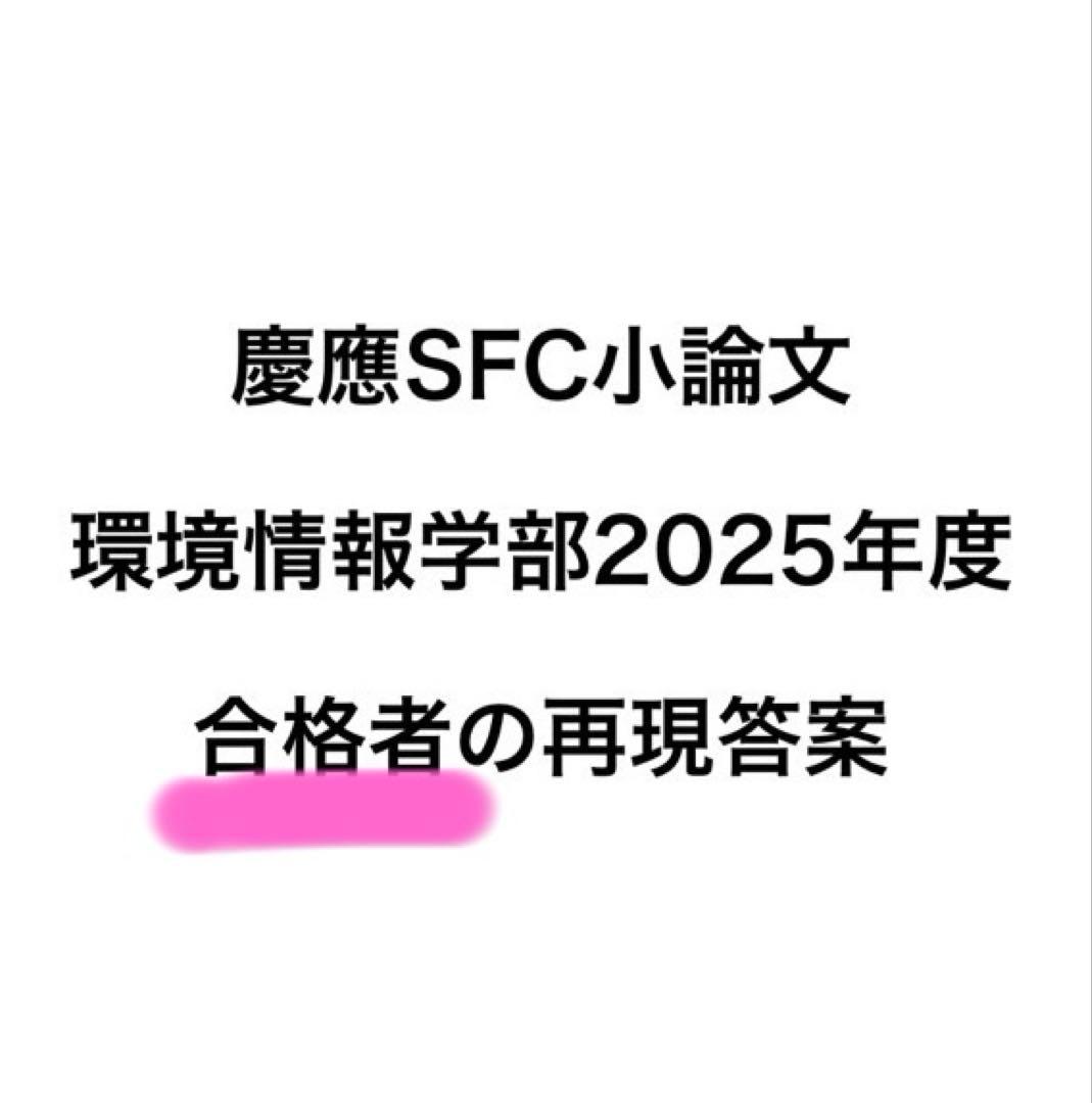 慶應SFC小論文\