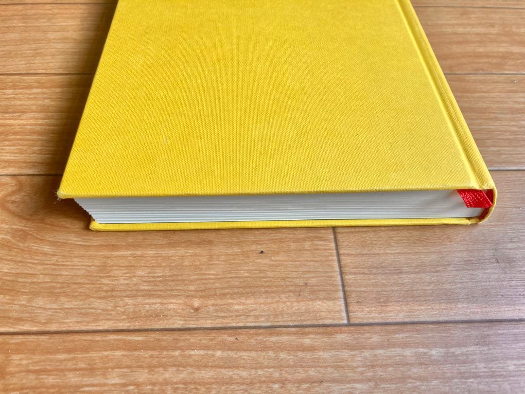 洋書 William Eggleston From black and white