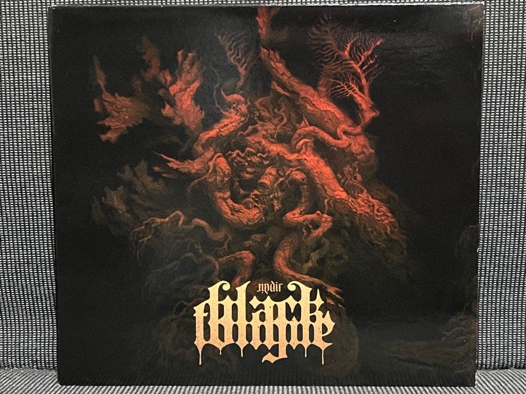 【BLACK TONGUE】【NADIR】【デスコア】