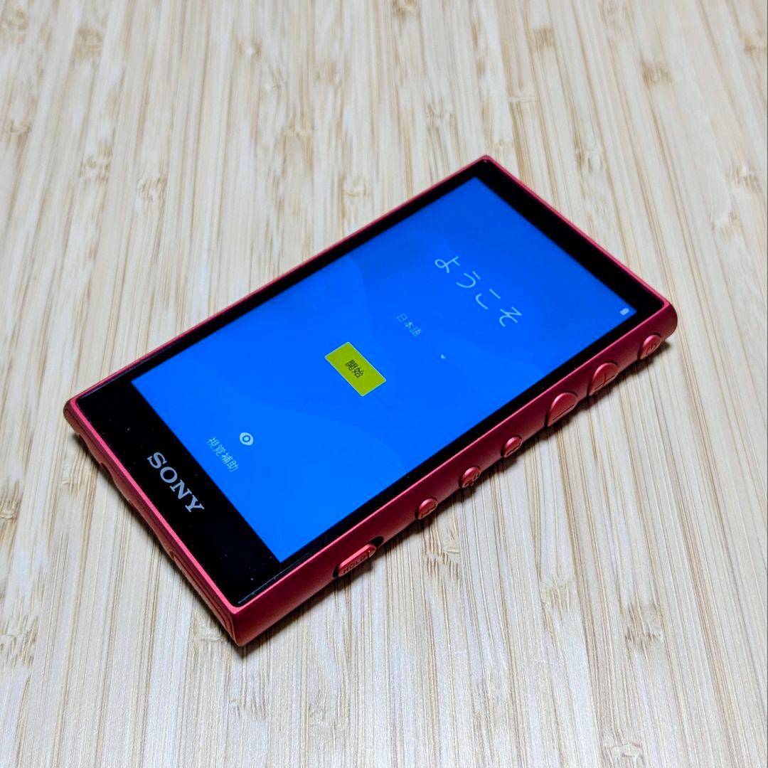 SONY デジタルオーディオプレーヤー NW-A100シリーズ（NW-A106）