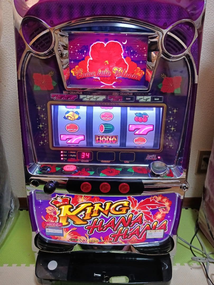 ケ*ウ様 キングハナハナ30 紫パネル パイオイニア　パチスロ実機　5号機