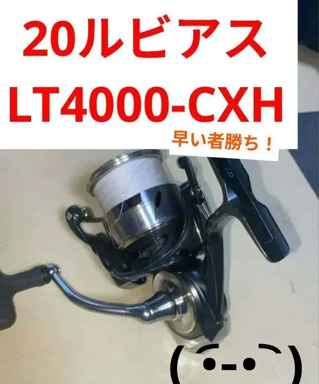 お*ー様 20ルビアス LT4000-CXH スピニ ングリール 【DAIWA】