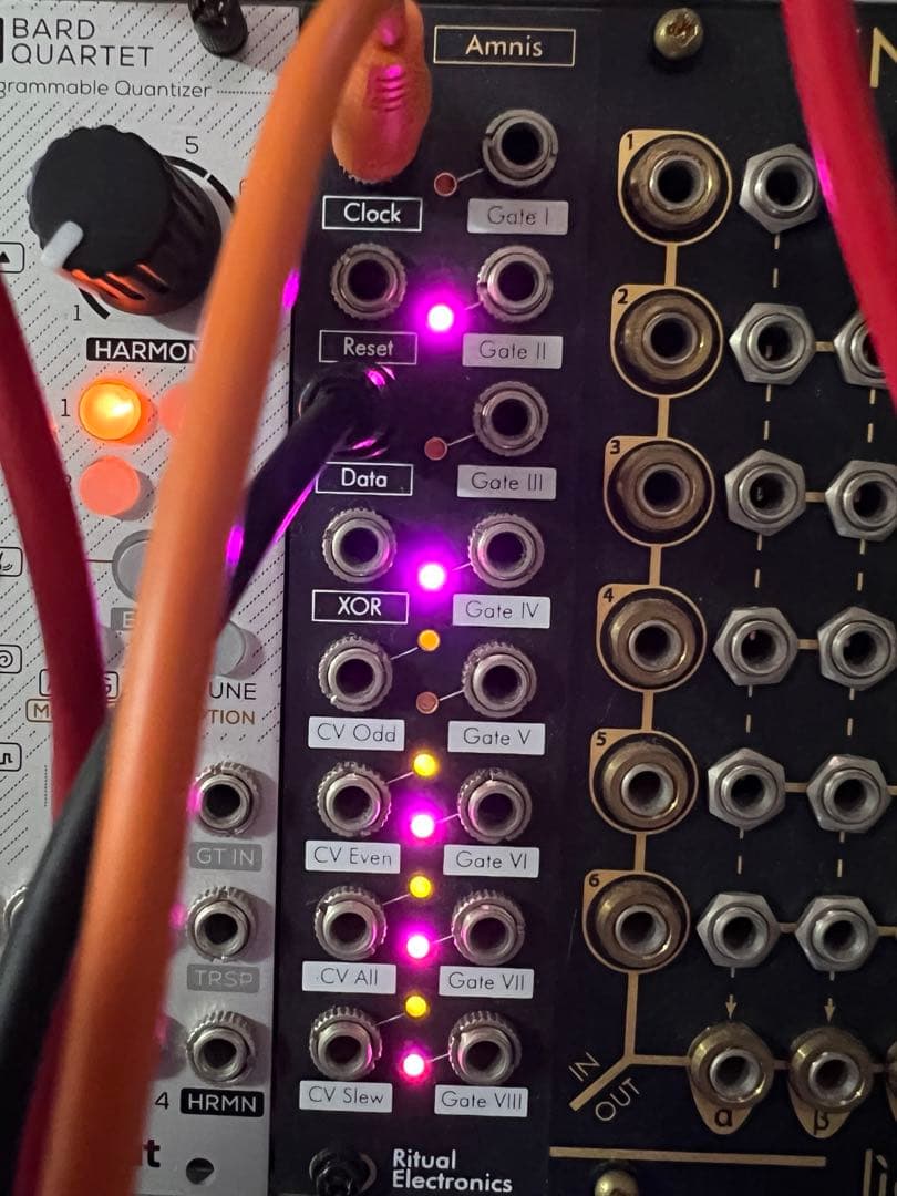 Ritual Electronics Amnis モジュラーシンセサイザー