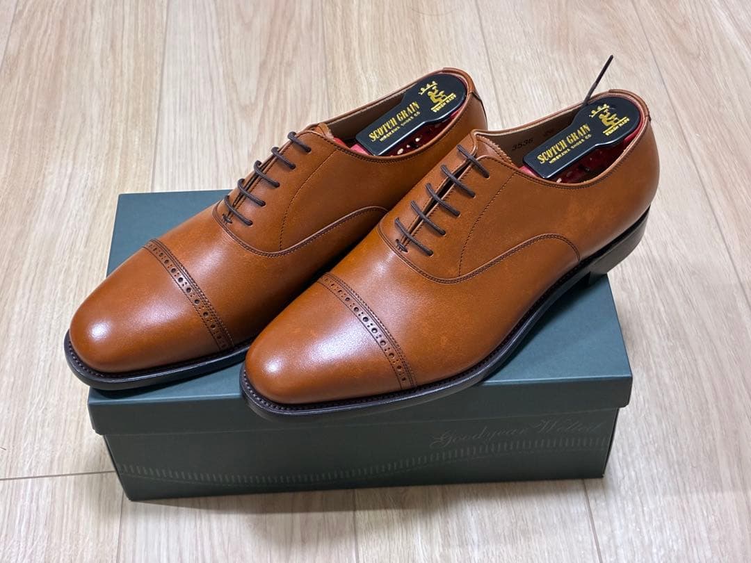 SCOTCH GRAIN 3536 ブラウン シューズ　EEE