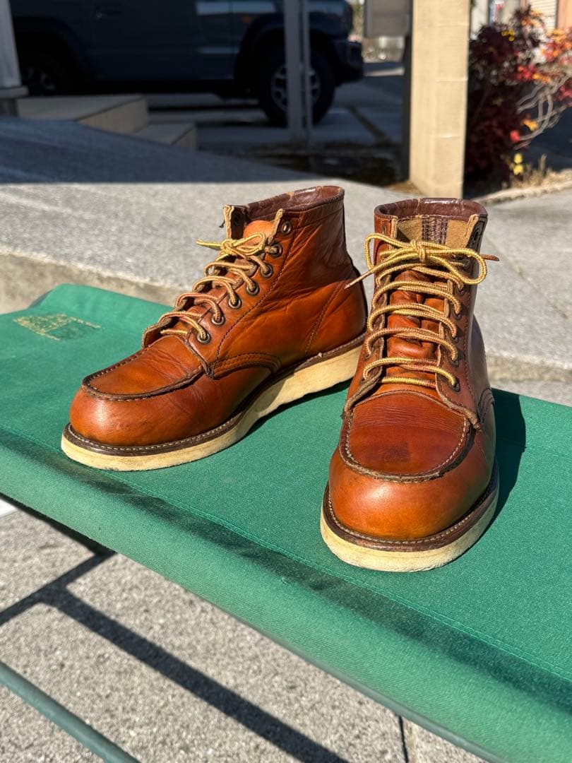 【犬刻印】　希少　レッドウィング 875 7 1/2 アイリッシュセッター