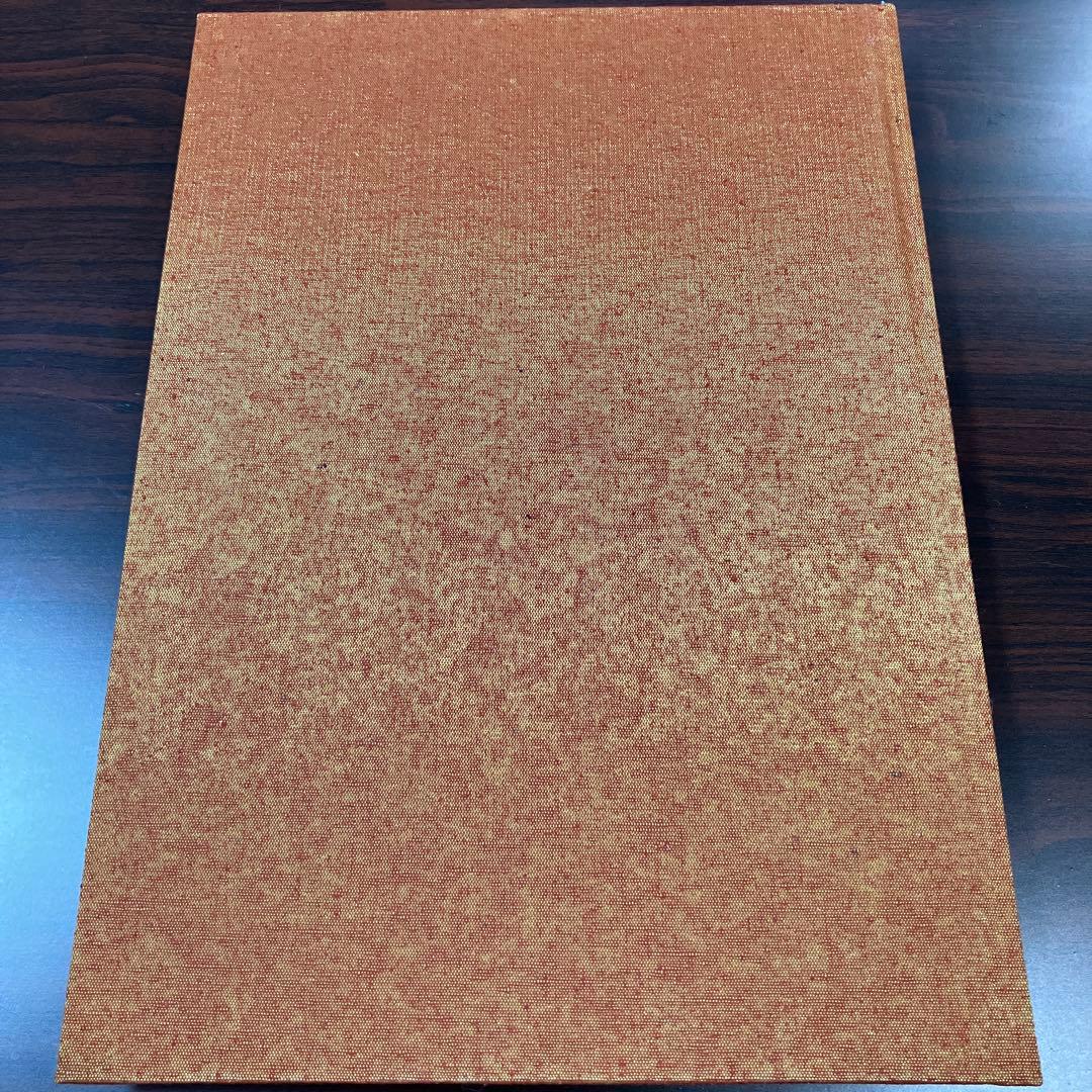 Madara colors 田島昭宇魍魎戦記MADARA画集