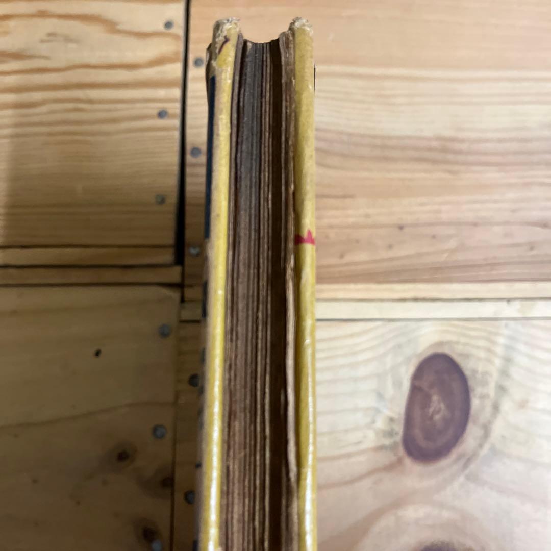 海野十三 / 地球盗難