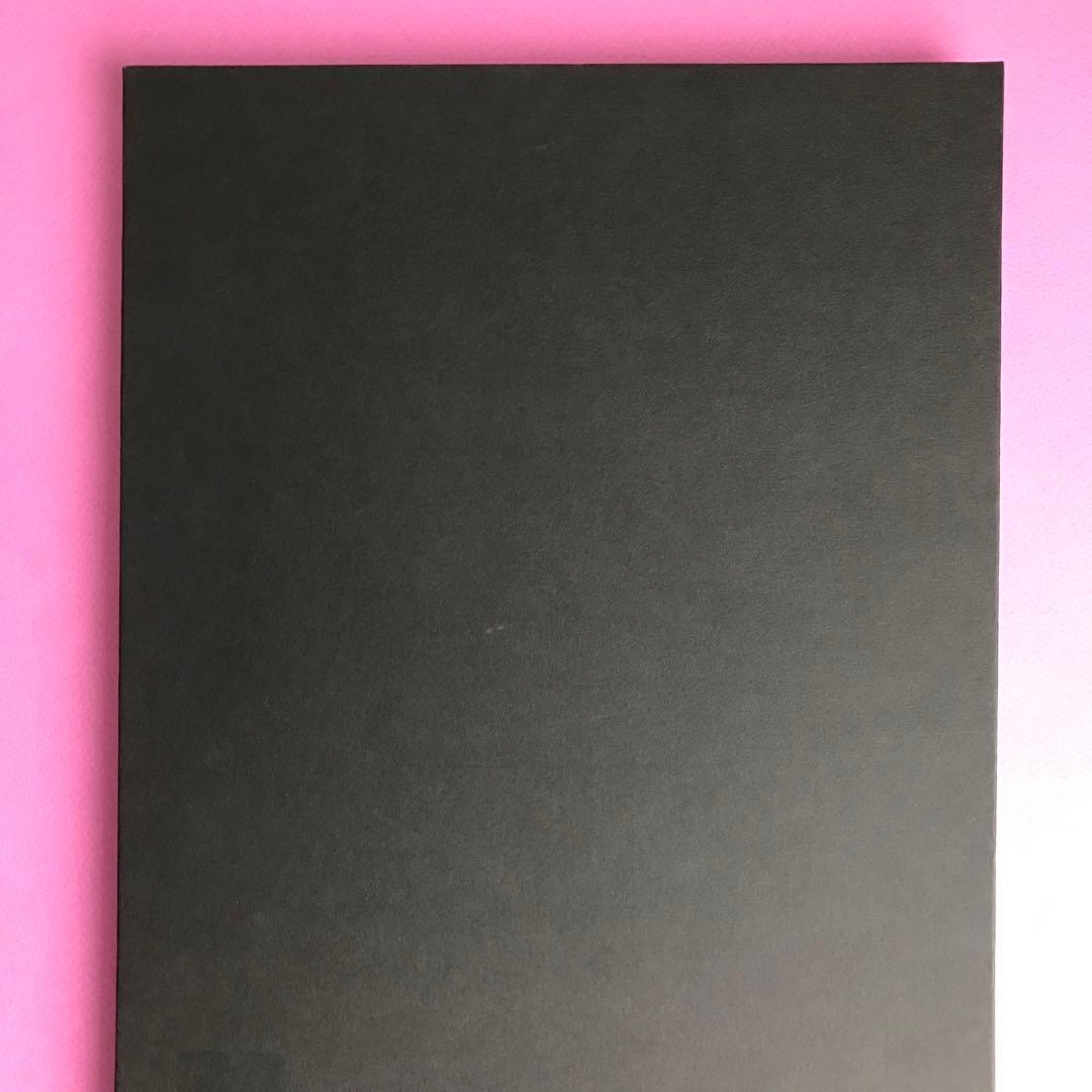 洋書 The Disciples by James Mollison