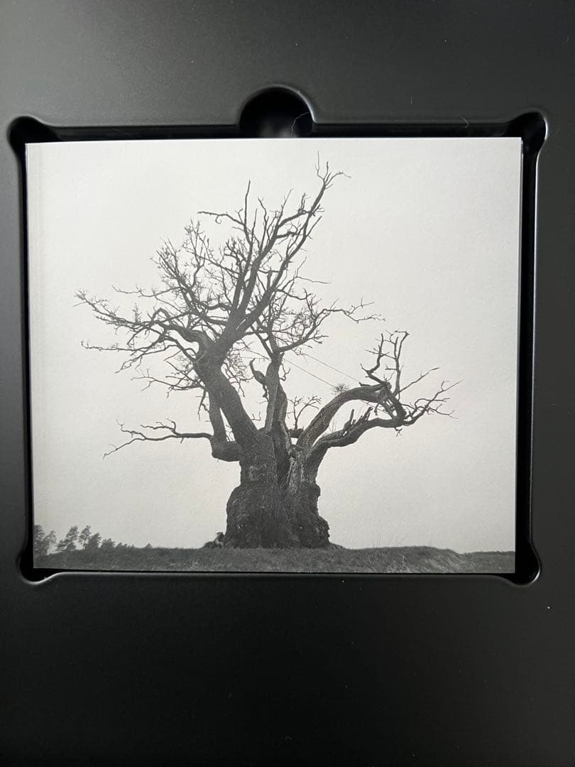 SEKAINOOWARI 2010-2019 完全生産限定プレミアムBOX