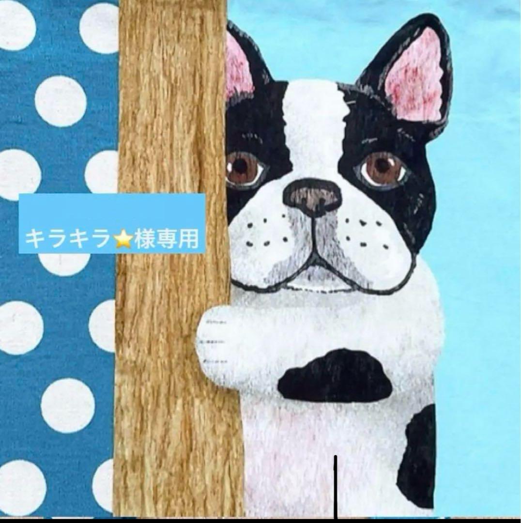 キラキラ⭐️　ランチバッグ&ファスナーポーチ