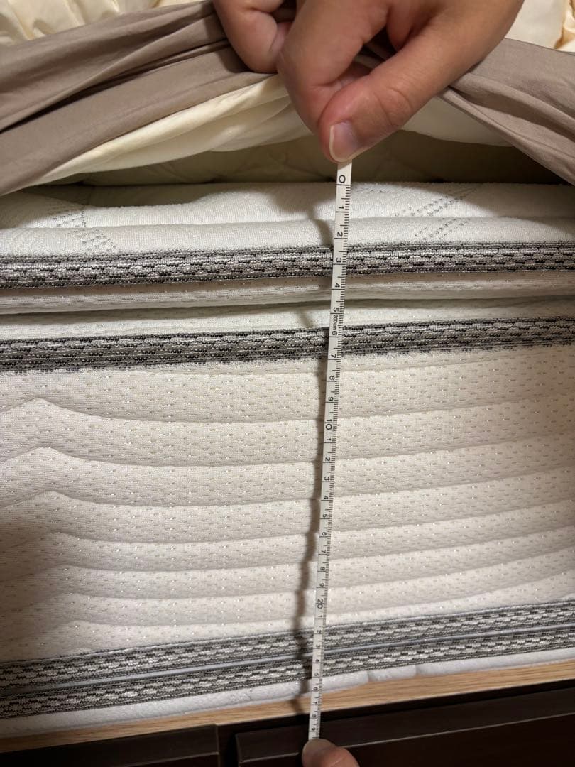 【Falafel様】ビューティレストプレミアムニューフィット ピロートップ D