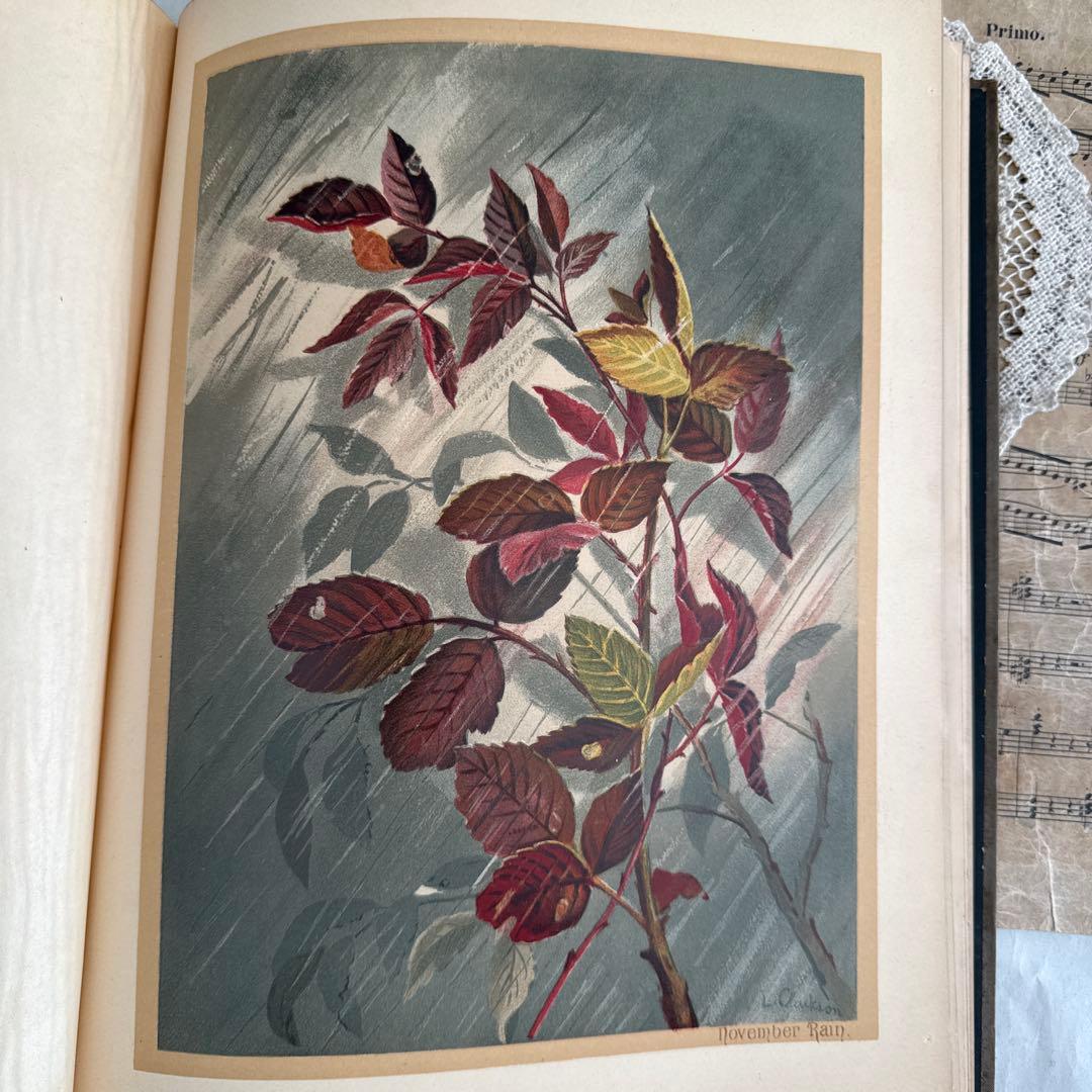 稀少1883年アンティーク美しい画集ヴィクトリアン洋書ジャンクジャーナル　古書