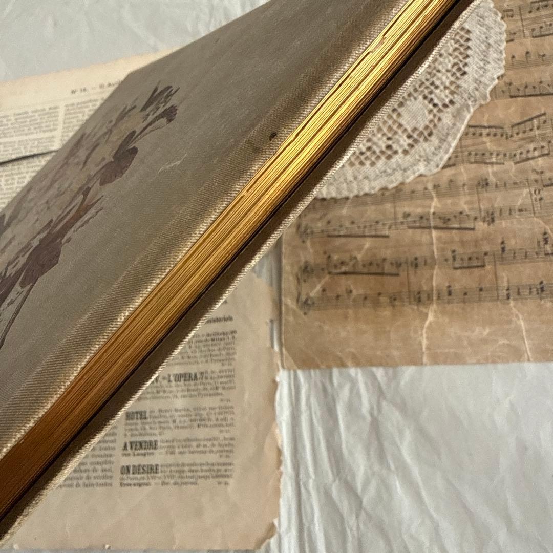 稀少1883年アンティーク美しい画集ヴィクトリアン洋書ジャンクジャーナル　古書