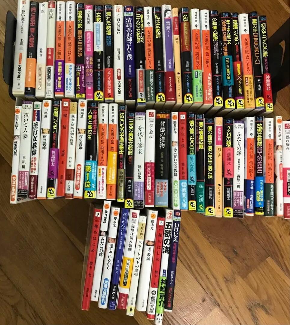 官能小説まとめ売り⑧ 66冊　フランス書院その他あり