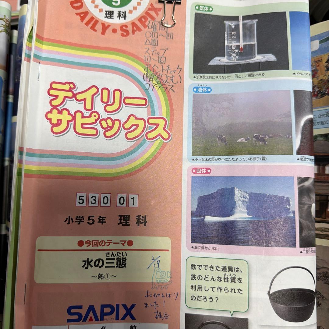 サピックス　5年生　最新理科　社会1年分全テキスト　デイリーサピックス
