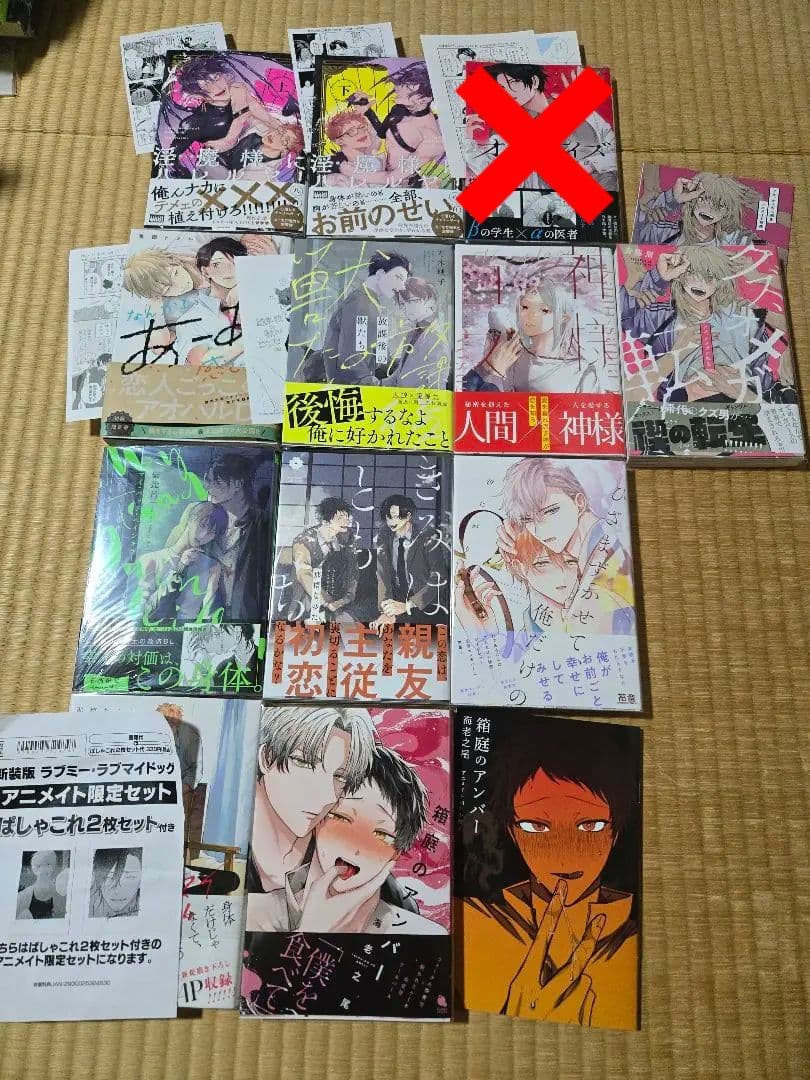 BLコミック まとめ ② ❤新品購入品のみ❤️ 全11冊