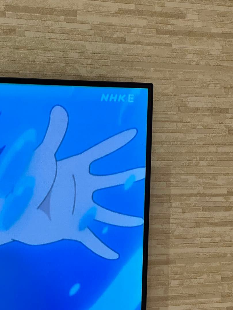 【値引き　初期化済】LG OLED55B9PJA 55V型 4K有機ELテレビ