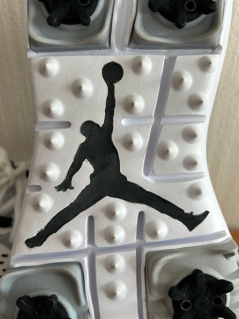 NIKE＊AIRJORDANTRAINER.G/AH7747-100/26㎝