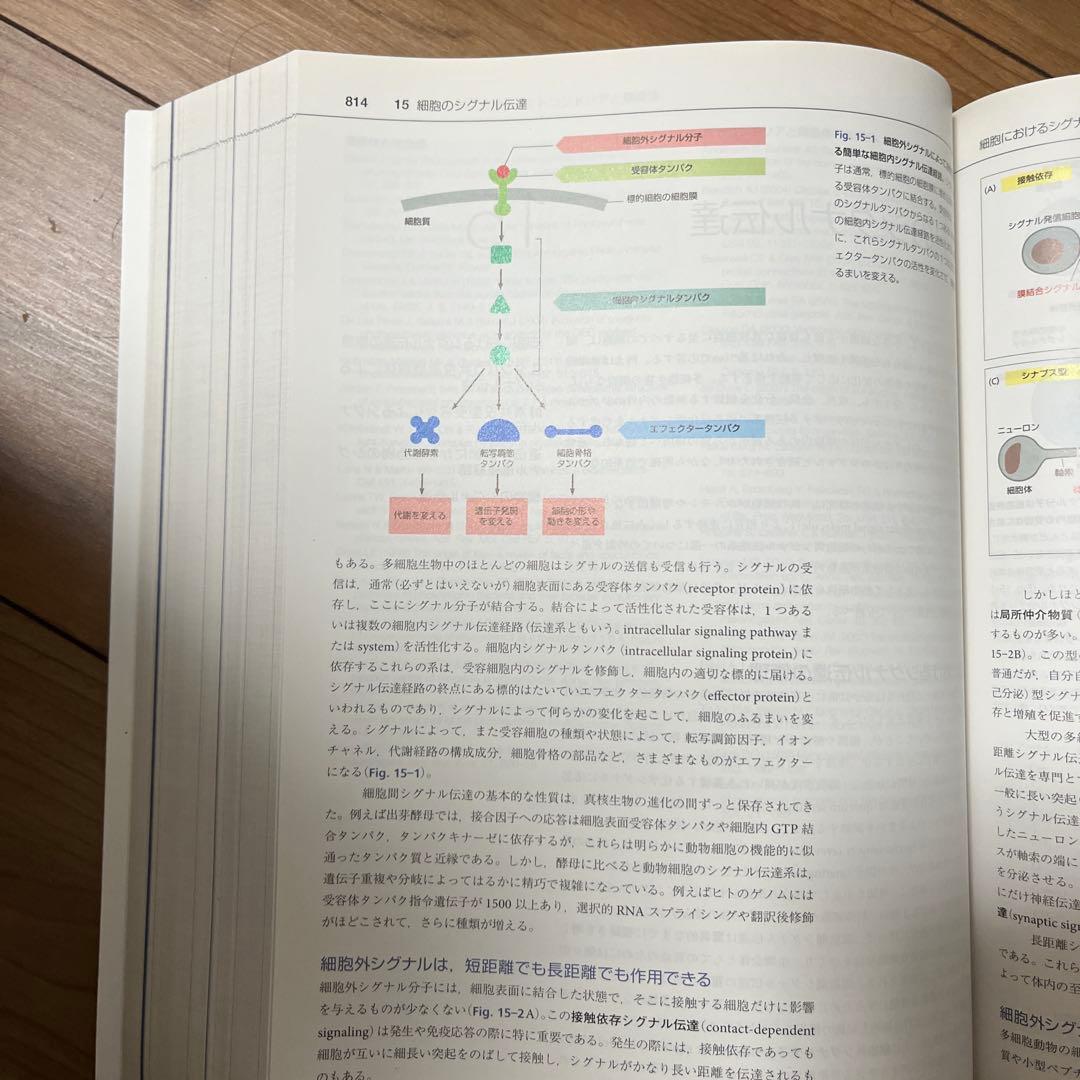 【きだうさま専用】細胞の分子生物学