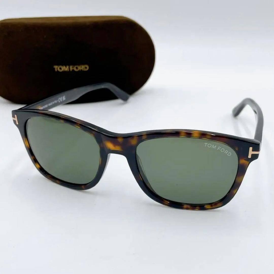 TOM FORD Eric TF595 サングラス ウェリントン　べっ甲m531
