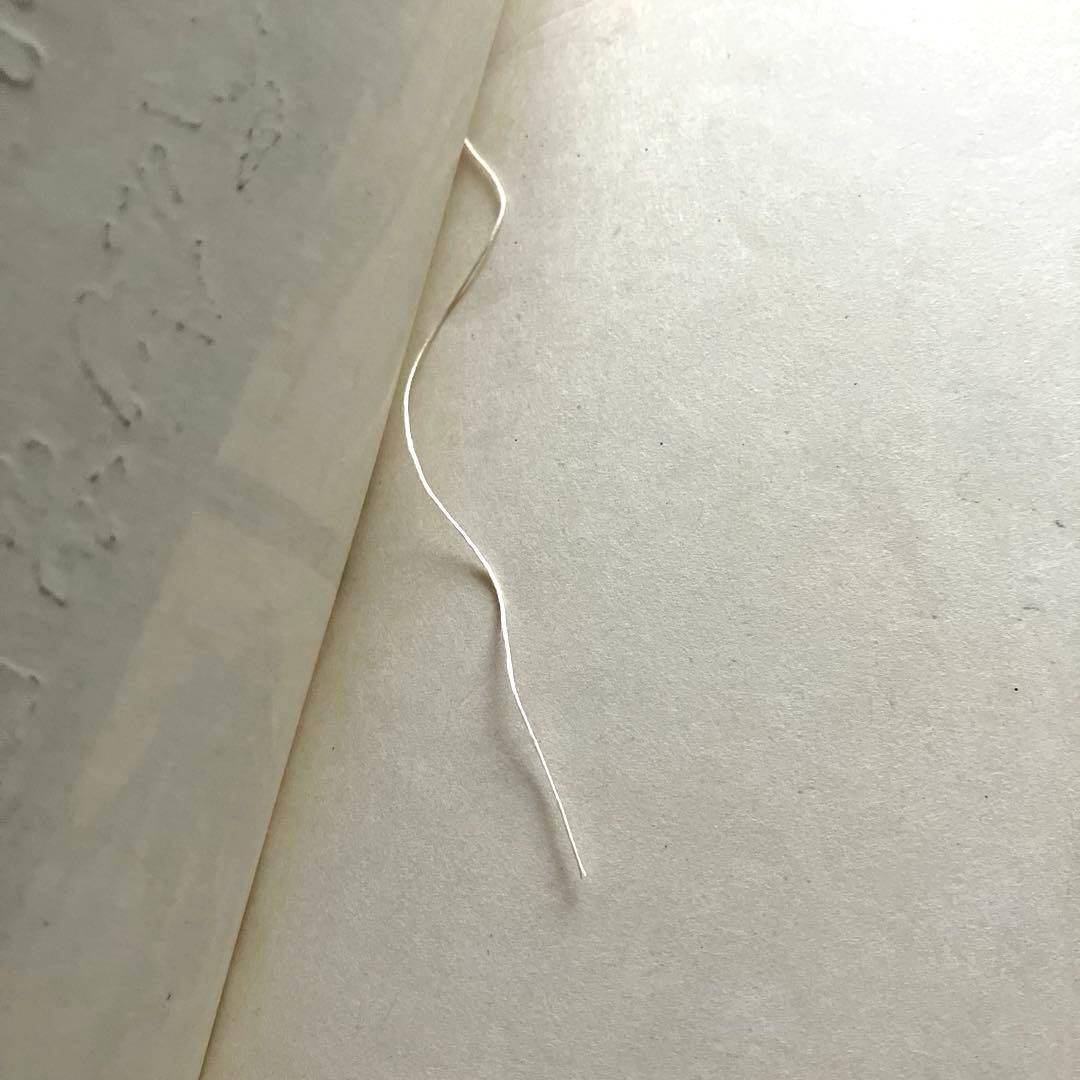 黄山写生要法 蘇春生 華東師範大学出版社