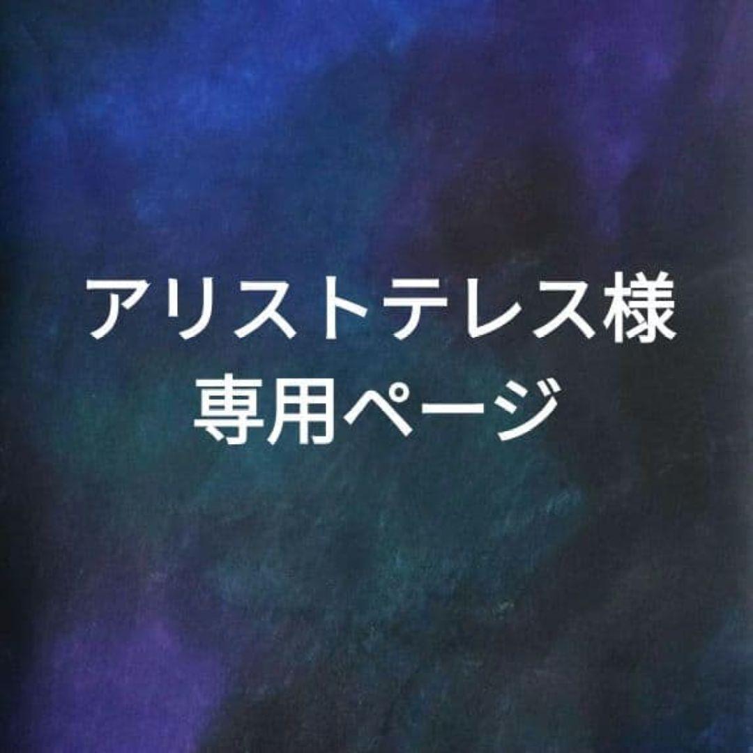 アリストテレスページ