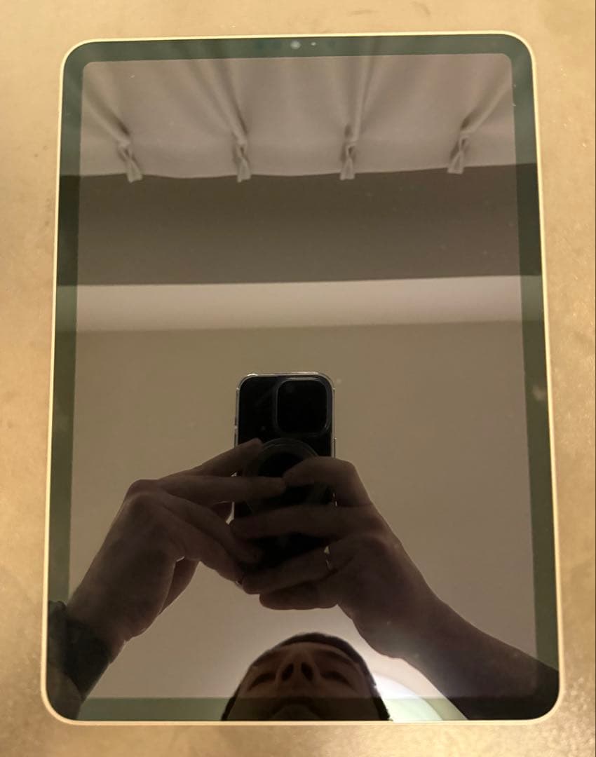 iPad Pro 11インチ 第3世代M1 256GB WiFi スペースグレイ