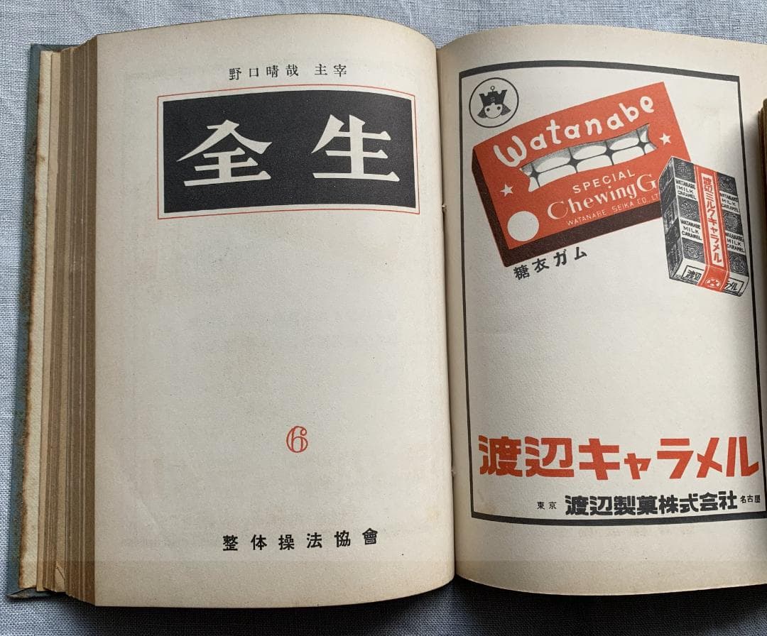 ト*ツ様 野口晴哉著　「全生談義」