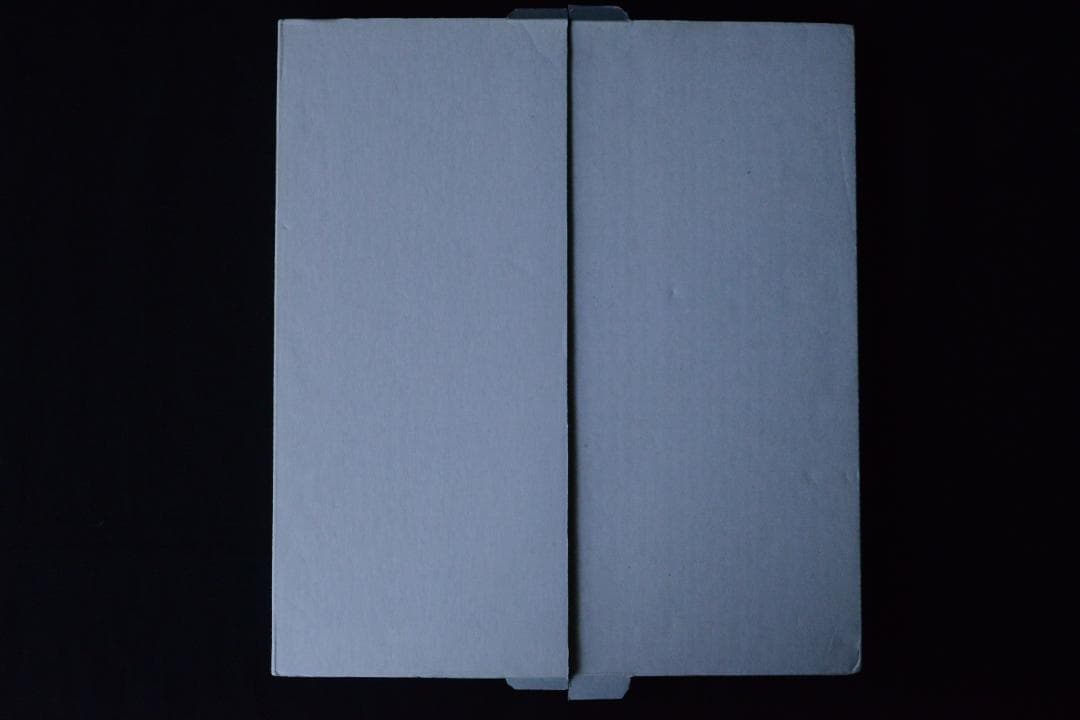 The Man in the Crowd:Garry Winogrand★値下げ