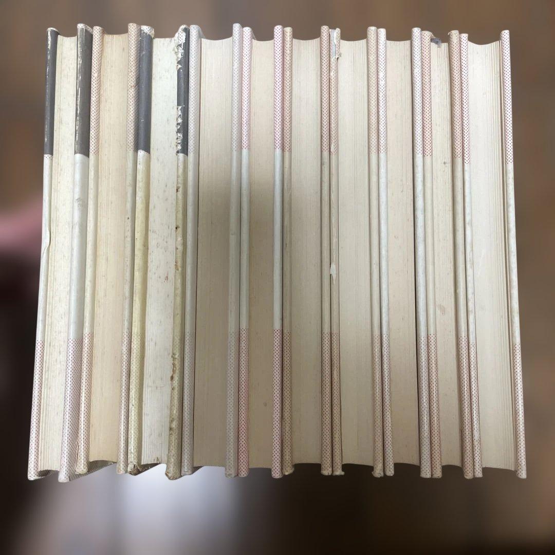 ケルゼン選集 全10巻