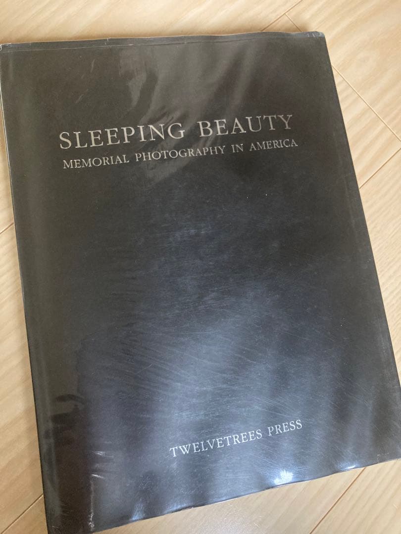 アート・デザイン・音楽 Sleeping Beauty: Memorial Photography