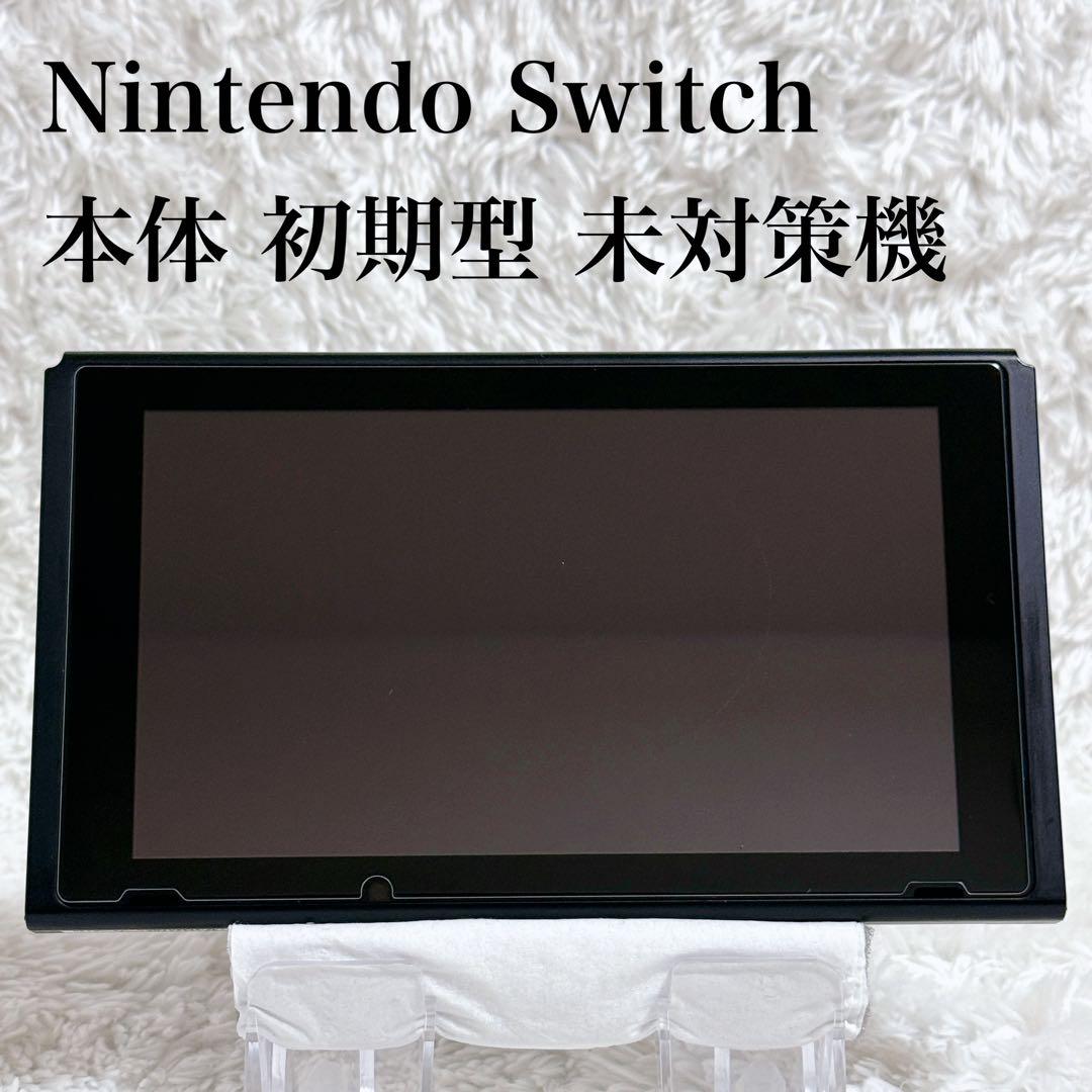 Nintendo Switch スイッチ 本体 2017年 未対策機 フィルター