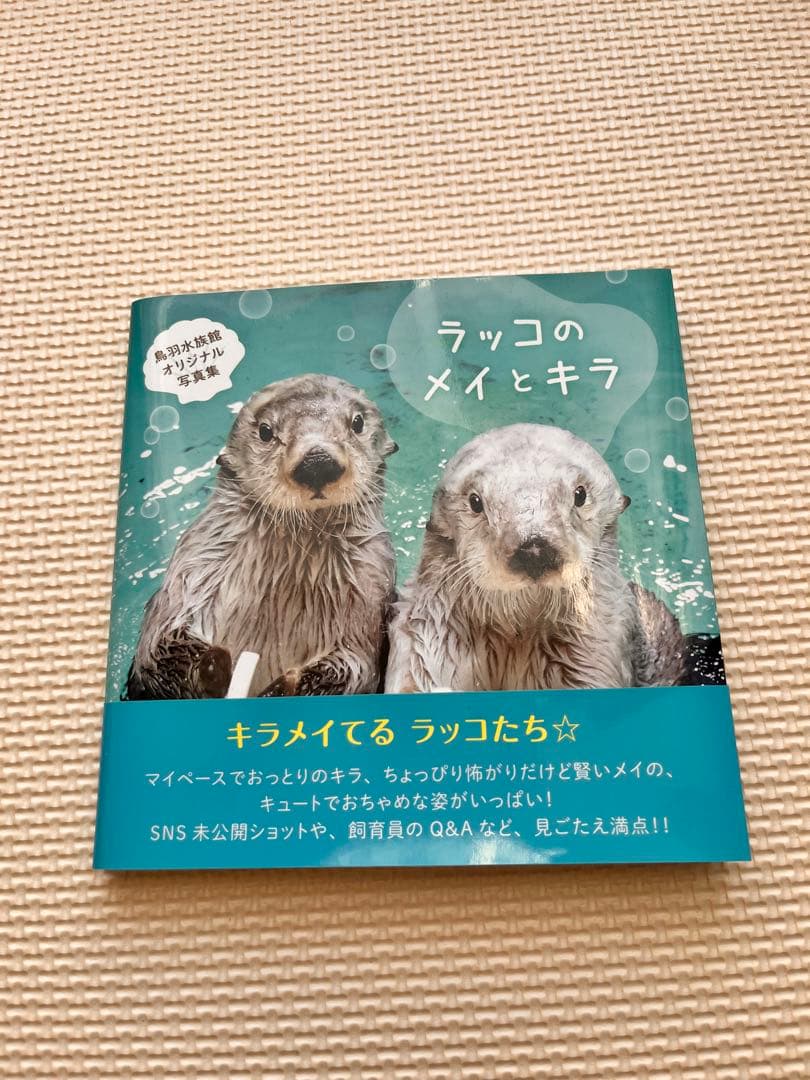 ラッコのメイとキラ