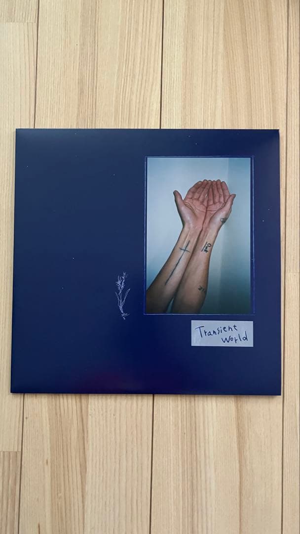 下津光史 Transient World LP レコード