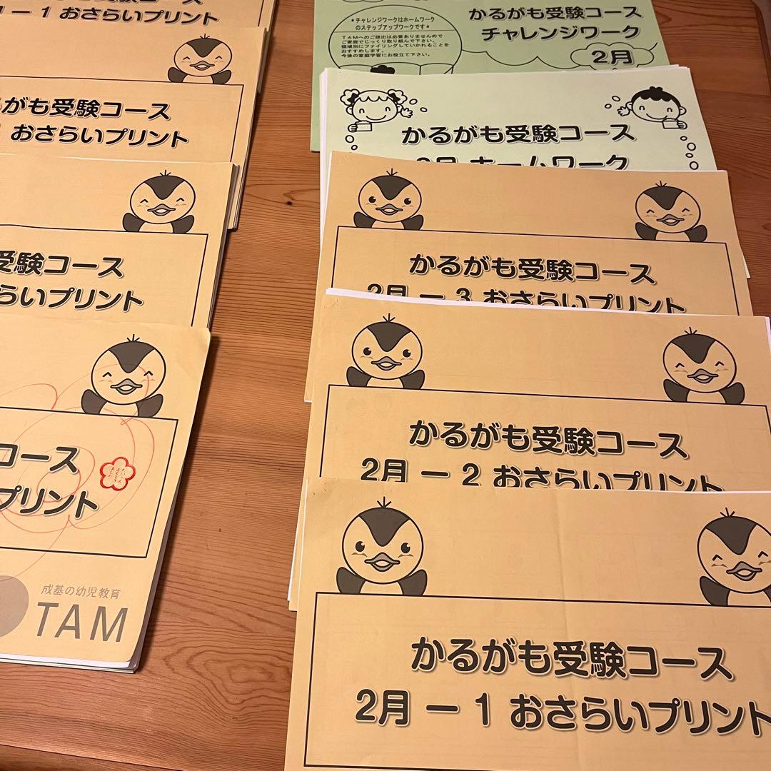 TAM小学校受験☆お受験コース年長8ヶ月分プリント　ペーパー対策に☆