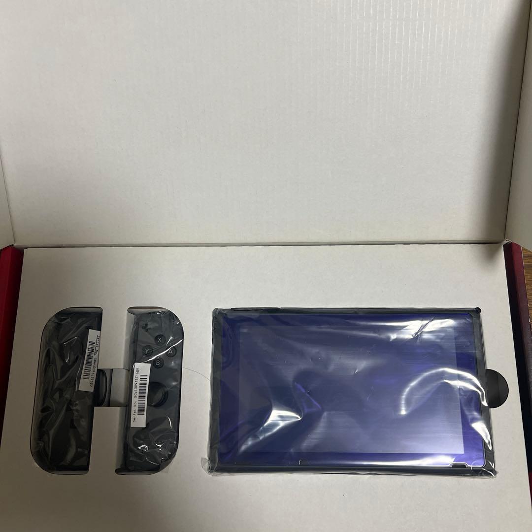 Nintendo Switch グレー 本体　箱付き　ケース付き